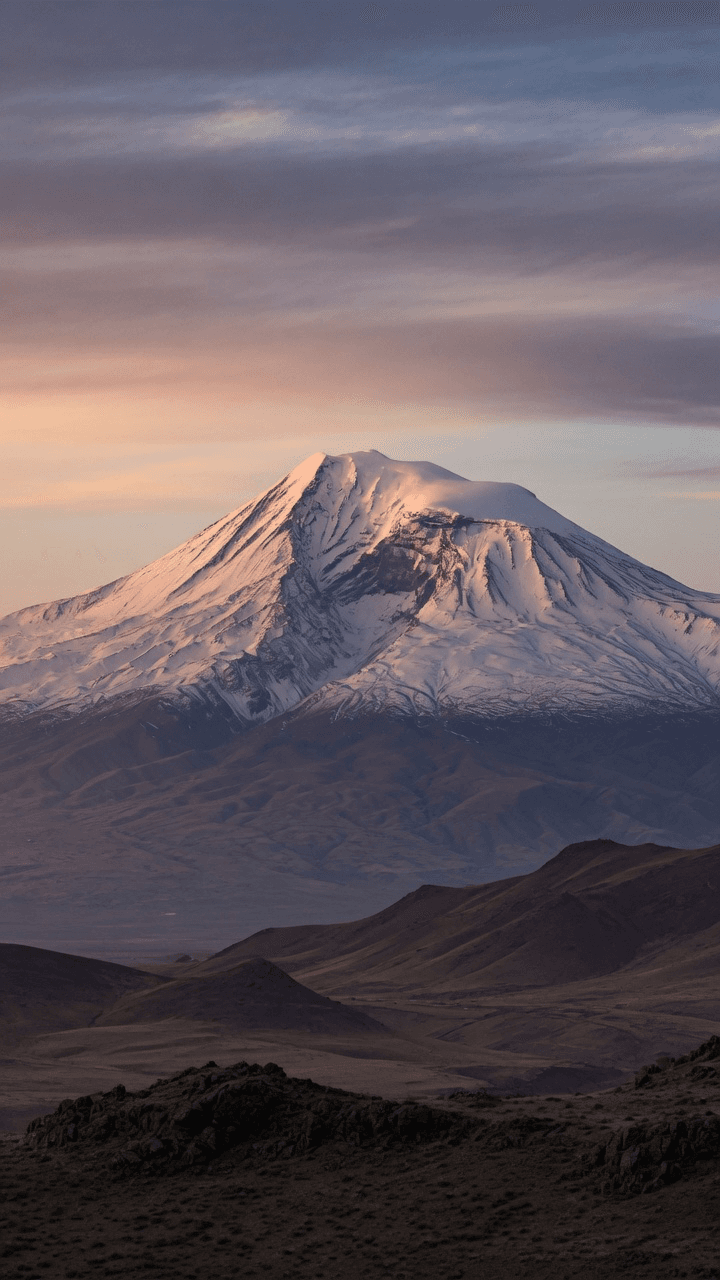 Արարատ